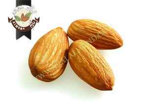 خرید و فروش انواع بادام در ایران