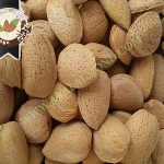 خرید و فروش بادام سنگی درجه یک