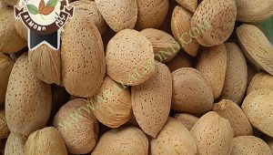 خرید و فروش بادام سنگی درجه یک
