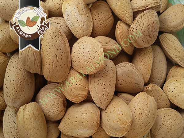 خرید و فروش بادام سنگی درجه یک