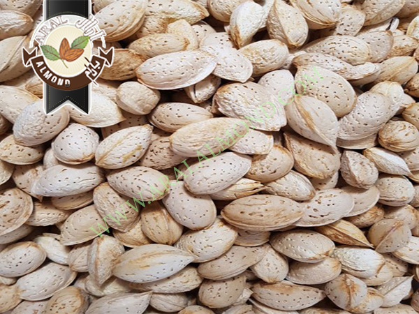 خرید بادام پوست کاغذی بصورت عمده