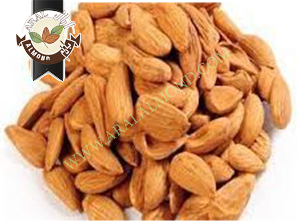 خرید مغز بادام شاهرودی ایران