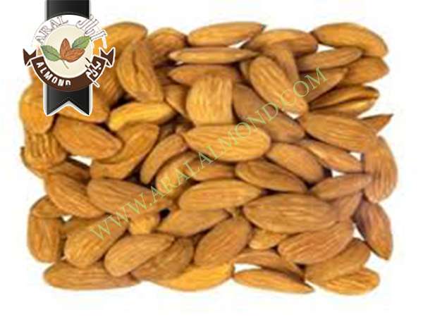 خرید مغز بادام شاهرودی ایران