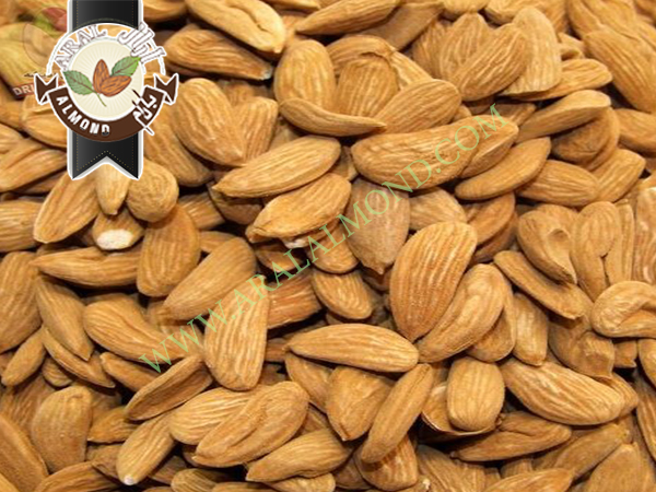 صادرات مغز بادام شاهرودی ایران