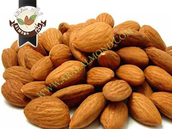 فروش انواع مغز بادام با کیفیت