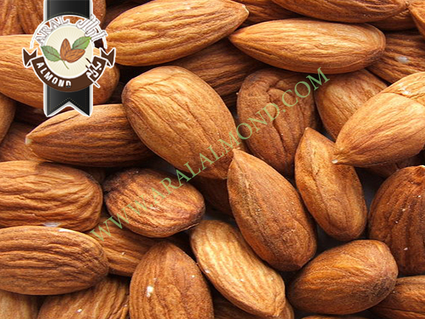 قیمت خرید بادام مامایی درجه یک