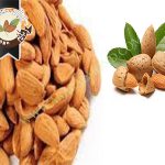 خرید مغز بادام شاهرودی ایران