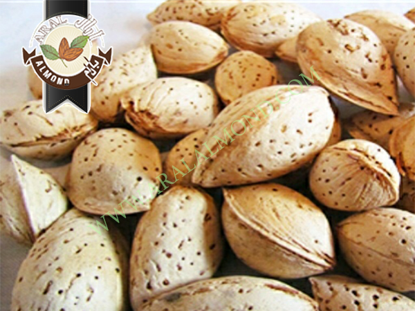 قیمت انواع بادام در ایران