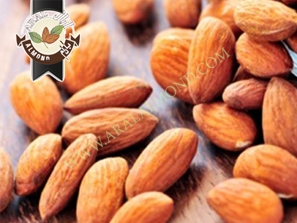 فروش انواع مغز بادام با کیفیت