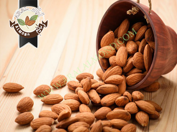 خرید بادام صادراتی درجه یک