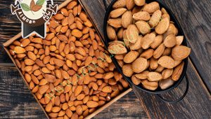 صادرات مغز بادام شاهرودی ایران