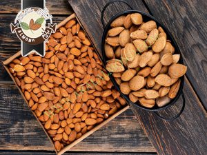 صادرات مغز بادام شاهرودی ایران