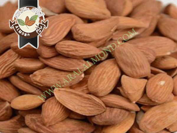 صادرات مغز بادام شاهرودی ایران