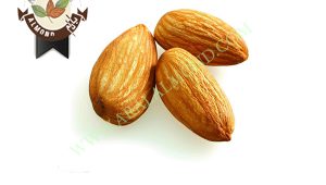 خرید بادام ایرانی با قیمت مناسب
