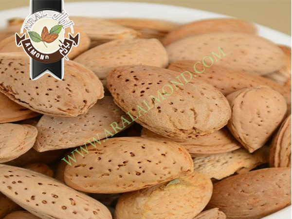 صادرات بادام درختی سامان به هند