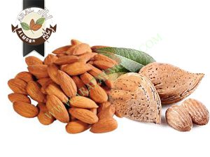قیمت بادام پوست کاغذی تازه ایرانی بر چه اساسی تعین می شود؟