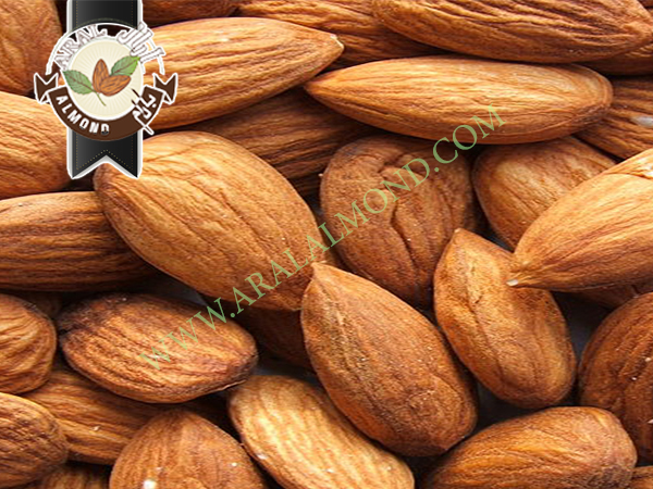 فروش انواع مغز بادام با کیفیت