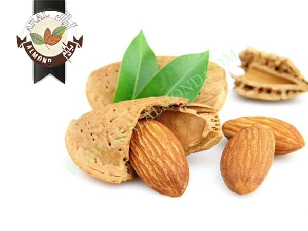 قیمت خرید انواع بادام در ایران