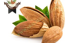 صادرات بادام درختی سامان به هند