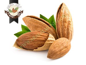 صادرات بادام درختی سامان به هند