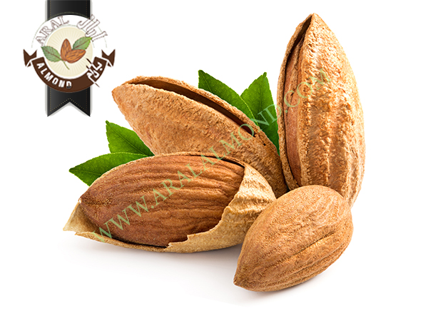 صادرات بادام درختی سامان به هند