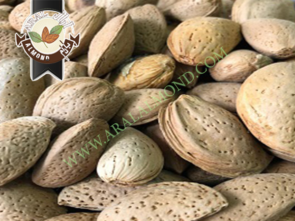 خرید بادام مامایی صادراتی ایران