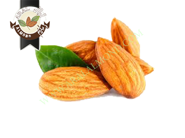 صادرات بادام درختی سامان به هند