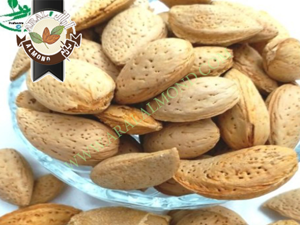 خرید بادام مامایی صادراتی ایران