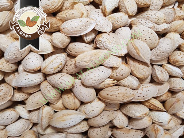 سفارش بادام پوست کاغذی سامان و بن