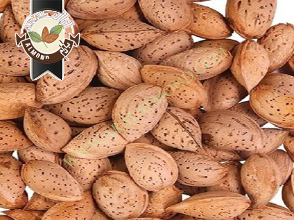 خرید و فروش بادام سفید با کیفیت