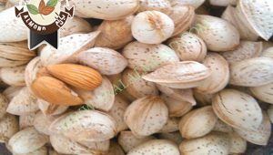 سفارش بادام پوست کاغذی سامان و بن