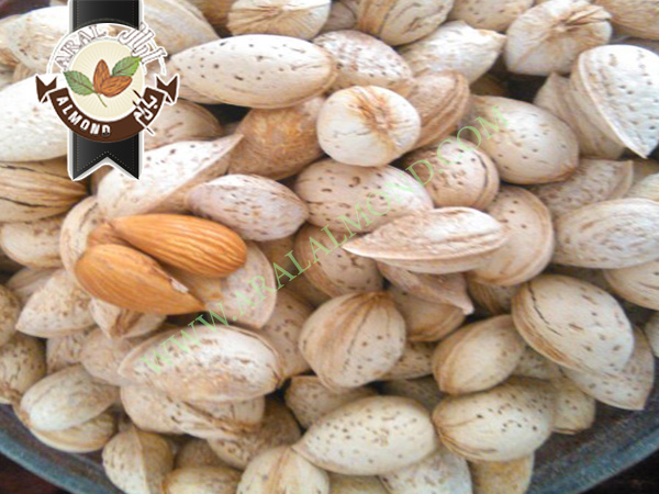 سفارش بادام پوست کاغذی سامان و بن
