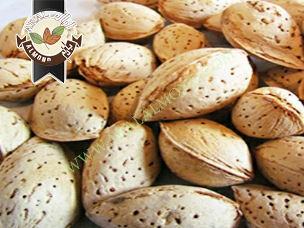 قیمت انواع مغز بادام درجه یک سامان