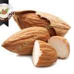 صادرات بادام پوست کاغذی درجه یک