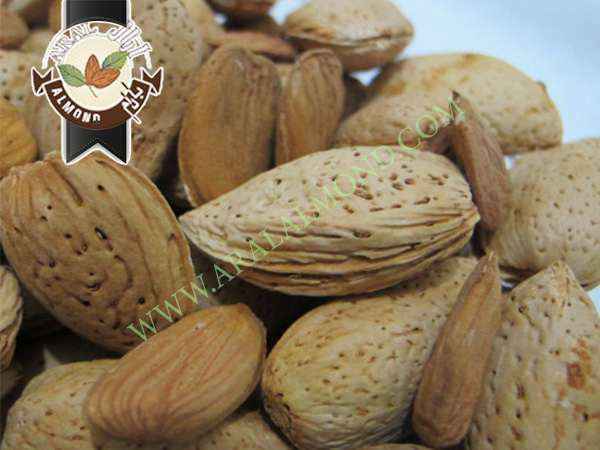 خرید بادام تلخ درشت صادراتی