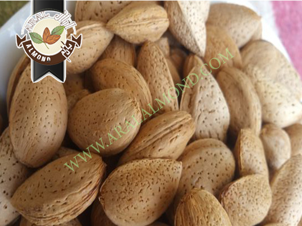 خرید بادام تلخ درشت صادراتی