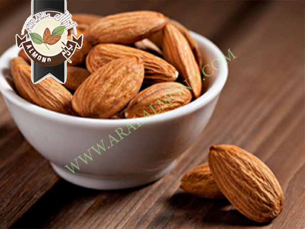 خرید اینترنتی مغز بادام ربیع ارزان قیمت