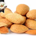خرید بادام تلخ درشت صادراتی