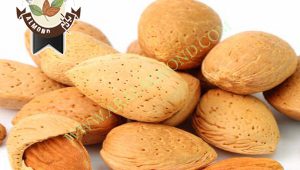 خرید بادام تلخ درشت صادراتی
