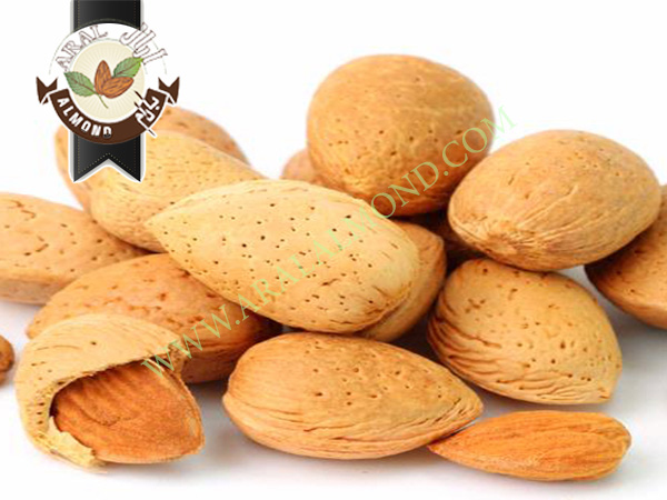 خرید بادام تلخ درشت صادراتی