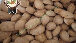 سفارش بادام شاهرودی با کیفیت