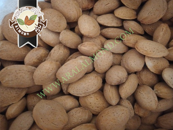 سفارش بادام شاهرودی با کیفیت