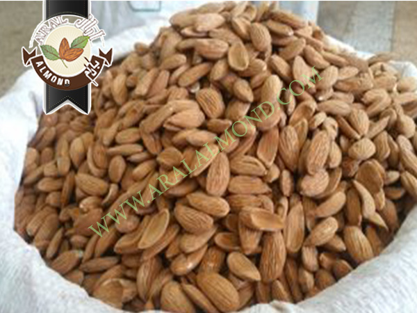 سفارش بادام شاهرودی با کیفیت