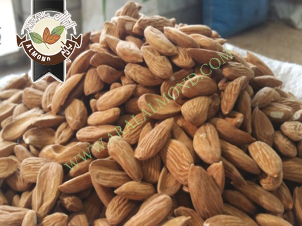 قیمت مغز بادام شاهرودی