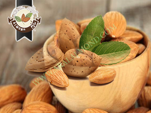 بازار بادام درختی با کیفیت ایرانی