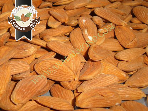 خرید و فروش بادام مامایی چهار محال و بختیاری