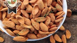 قیمت خرید بادام مامایی درجه یک