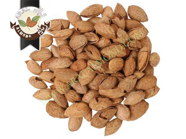 بازار خرید و فروش بادام چهار محال و بختیاری