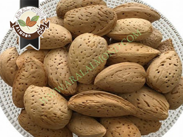 بازار خرید و فروش بادام چهار محال و بختیاری