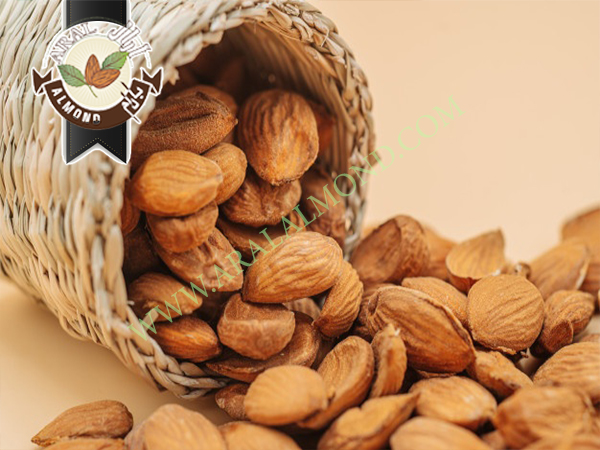 بازار خرید و فروش بادام چهار محال و بختیاری